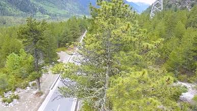 4K航拍最美中国公路松树森林最美川藏线视频的预览图